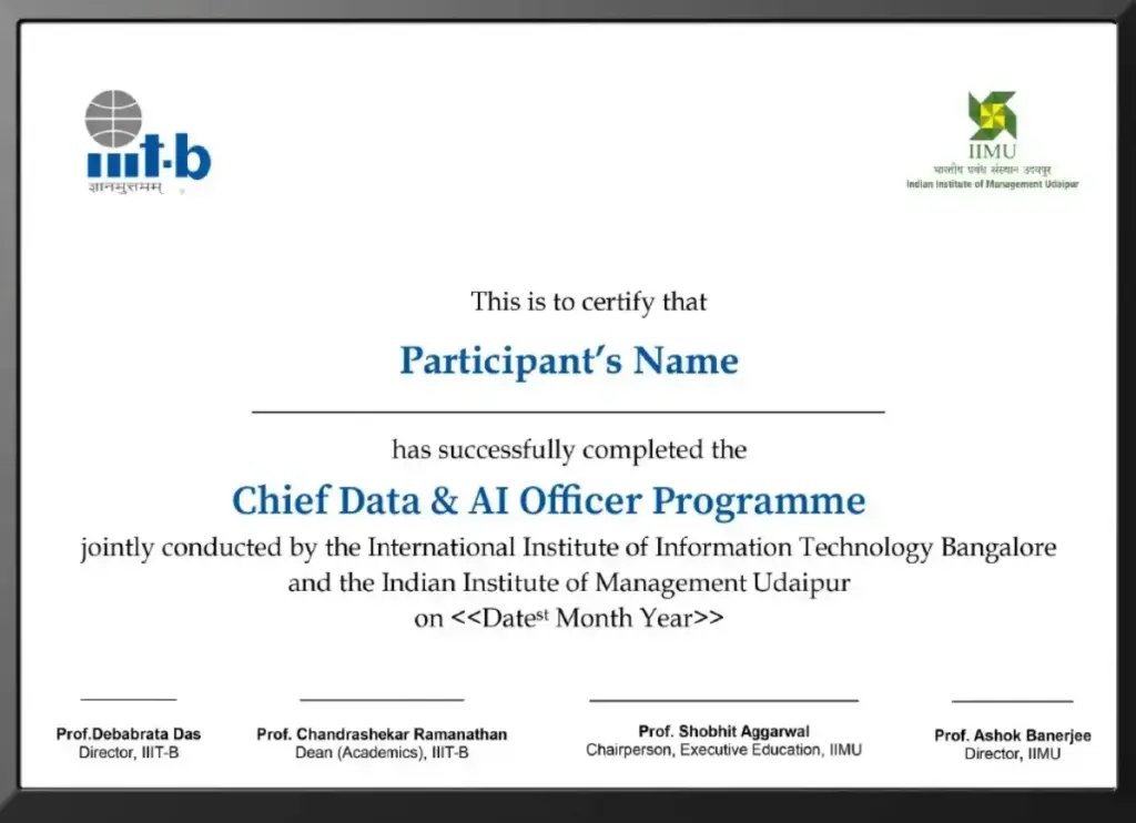 Chief Data and AI Officer Programme